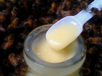 Sữa ong chúa - Mật Ong Dương Linh - Công Ty TNHH Một Thành Viên SX-TM-DV Mật Ong Dương Linh